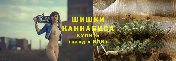 крисы Горнозаводск