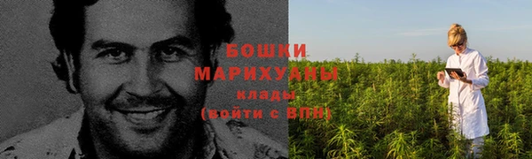 стафф Ветлуга