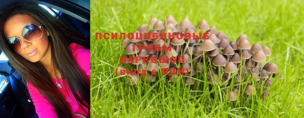 крисы Горнозаводск