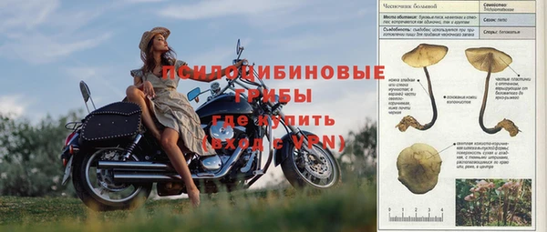 крисы Горнозаводск