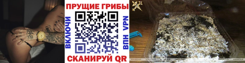 kraken рабочий сайт Дубовка Галлюциногенные грибы ЛСД darknet состав закладки